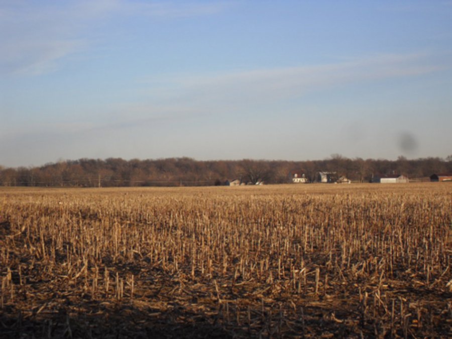 80+/- Acres Offered in 4 Tracts